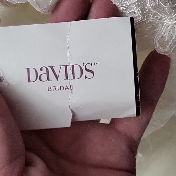 Beautiful Wedding Dress - Picture 8 of 8